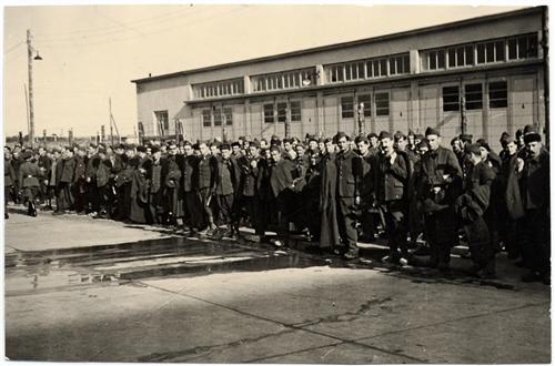 Stalag ii c juin 1942